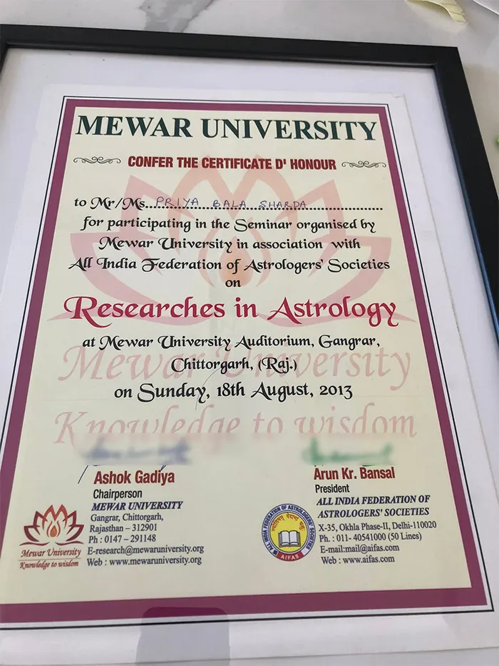 Mewar University
